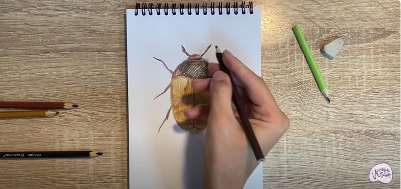 Рисуем Жук капровый
