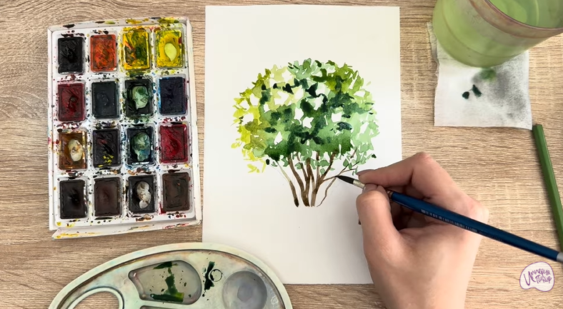 Рисуем Саженец бирючины