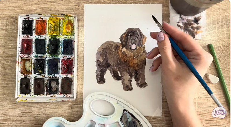 Рисуем Собака породы Ньюфаундленд