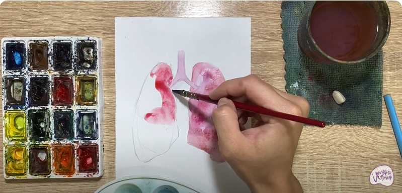 Рисуем Лёгкие человека
