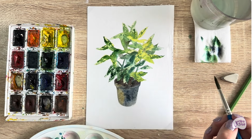 Рисуем Аукуба японская