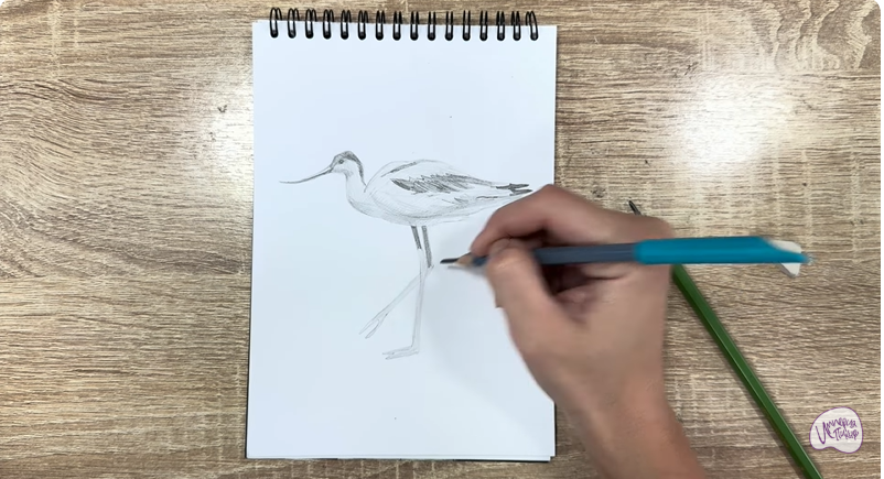 Рисуем Шилоклювка