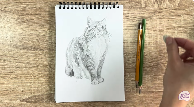 Рисуем Норвежский лесной кот