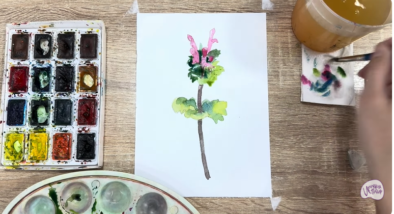 Рисуем Яснотка