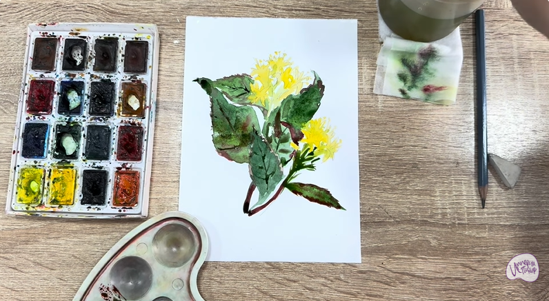 Рисуем Диервилла