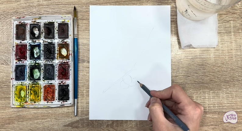 Рисуем Толокнянка