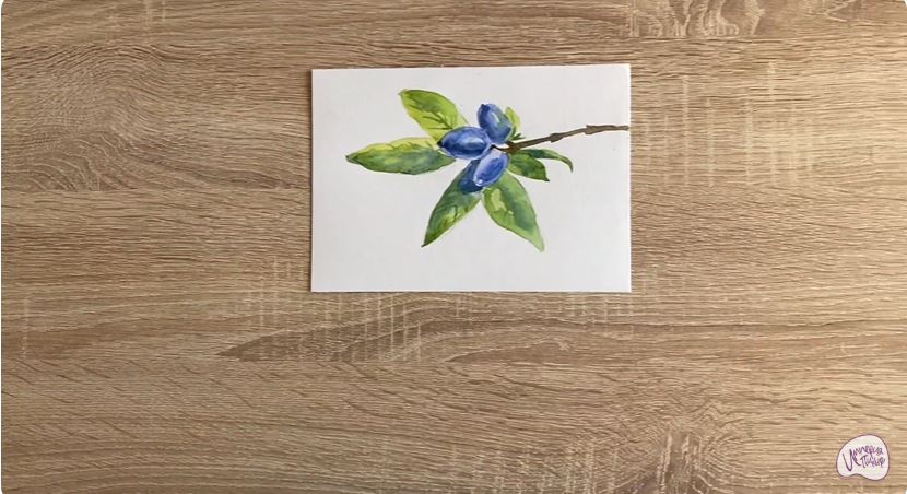 Рисуем Жимолость