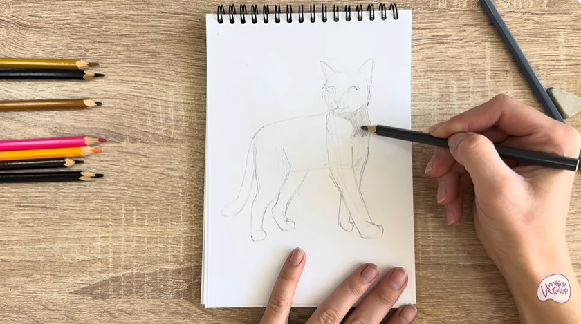 Рисуем Кошка Бурмилла