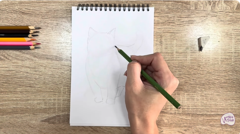 Рисуем Кошка породы "Манчкин"