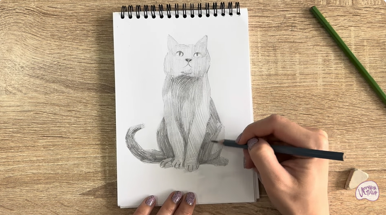 Рисуем Кот породы Шартрез