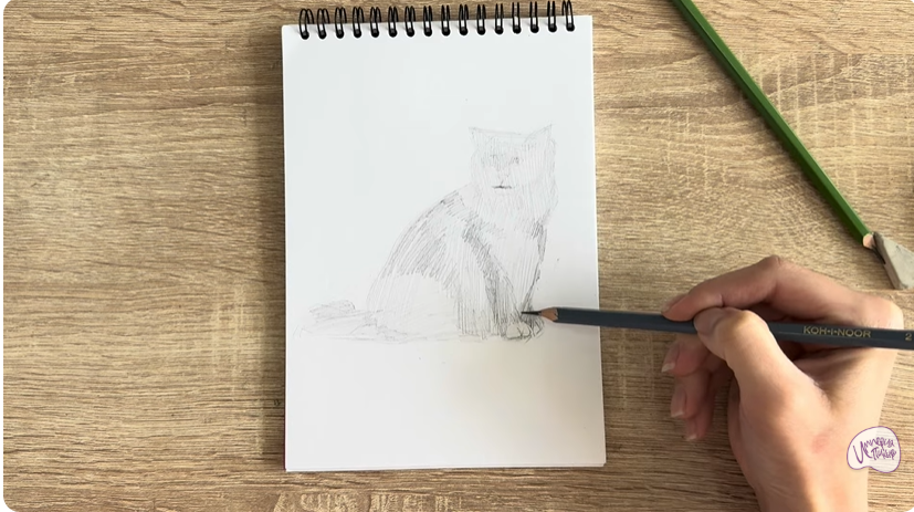 Рисуем Кошка породы Рэгдолл