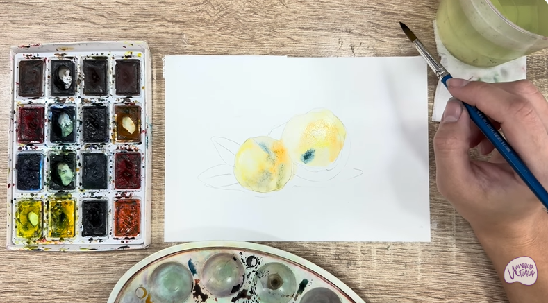 Рисуем Макадамия