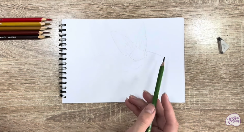 Рисуем Бурый ушан