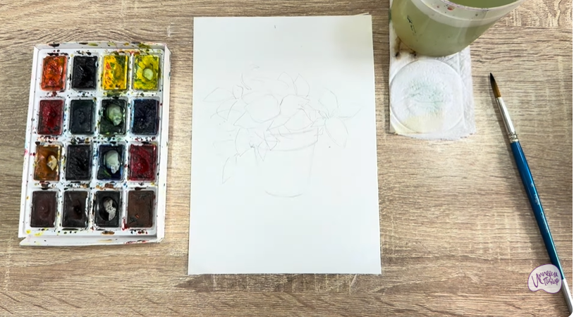 Рисуем Традесканция