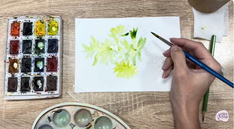 Рисуем Очиток