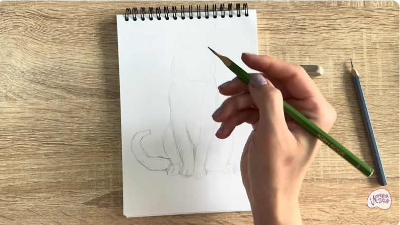 Рисуем Кот породы Шартрез