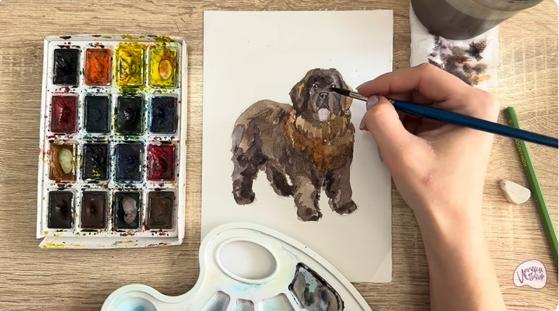 Рисуем Собака породы Ньюфаундленд