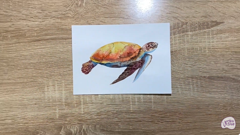 Рисуем Черепаха