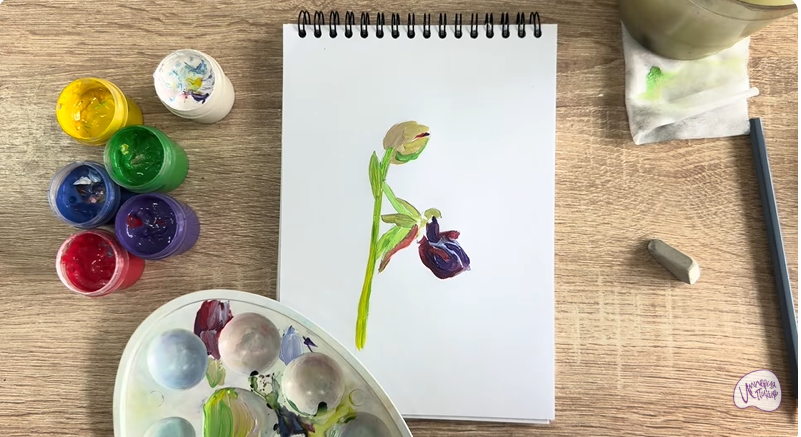 Рисуем Офрис кавказская
