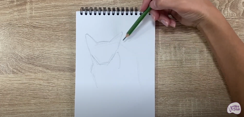 Рисуем Балинезийская кошка