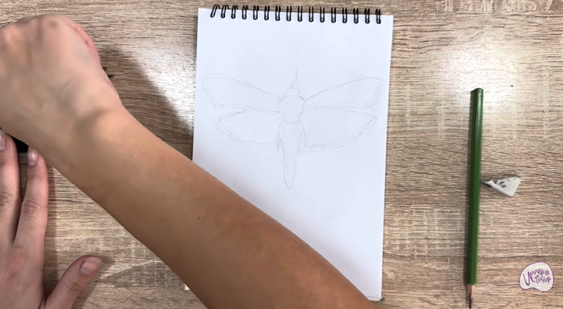 Рисуем Огнёвка зерновая