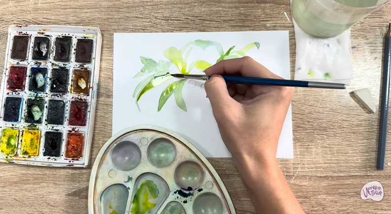 Рисуем Волчья ягода