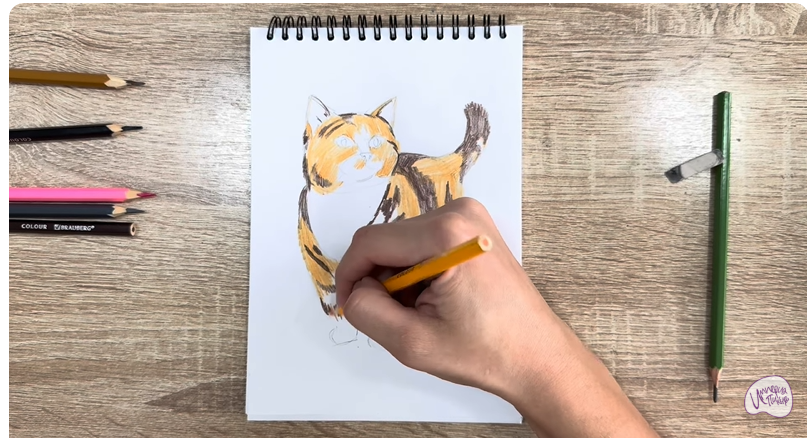 Рисуем Кошка породы "Манчкин"