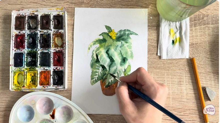 Рисуем Афеландра в горшке