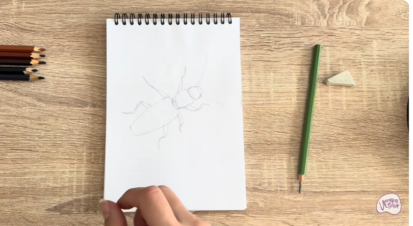 Рисуем Мукоед