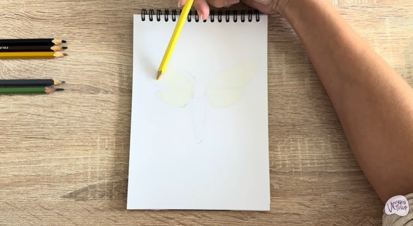 Рисуем Древесница въедливая