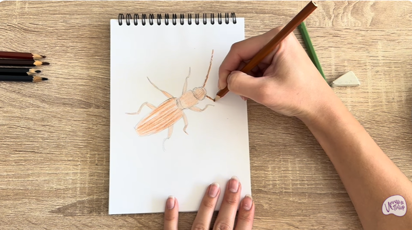 Рисуем Мукоед