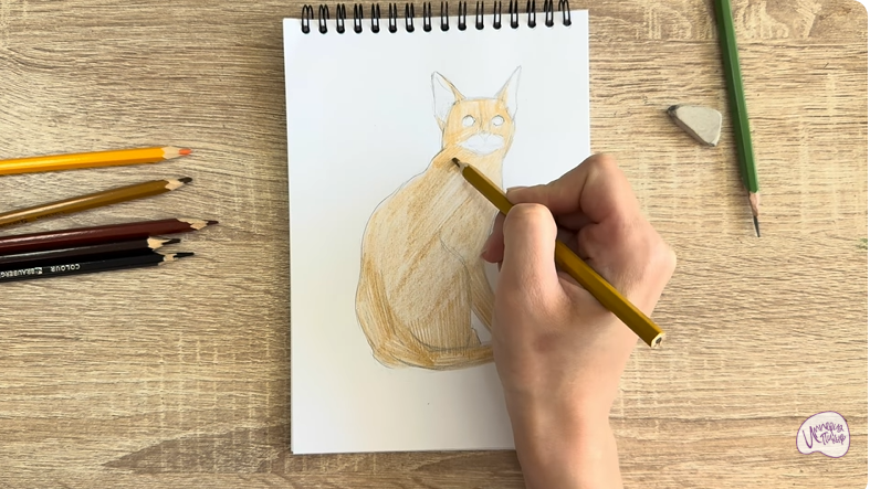 Рисуем Кошка Тойгер