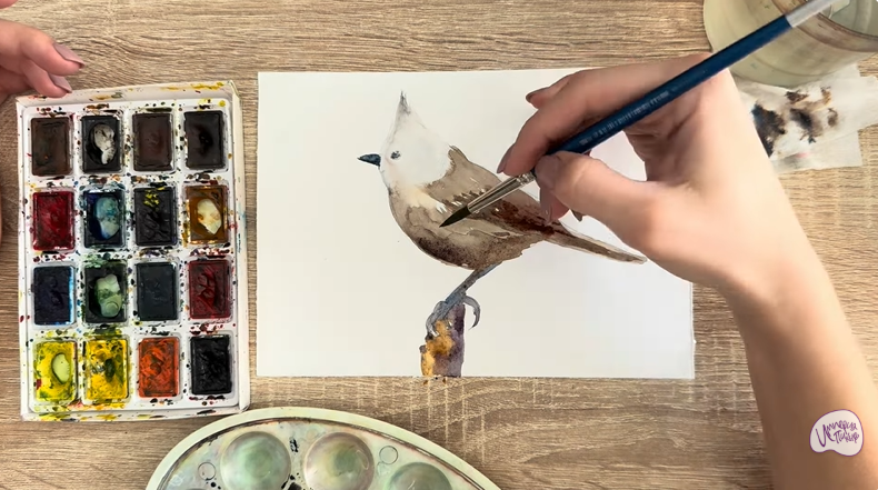 Рисуем Хохлатая синица