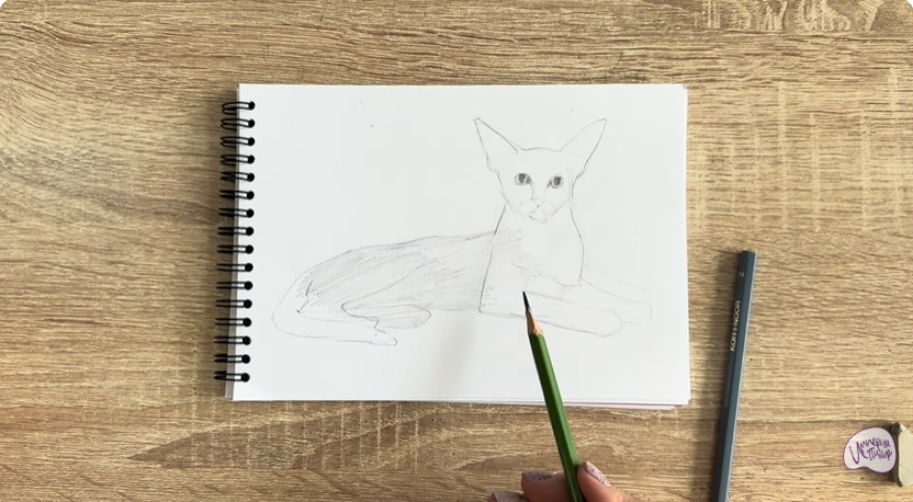 Рисуем Ориентальная кошка