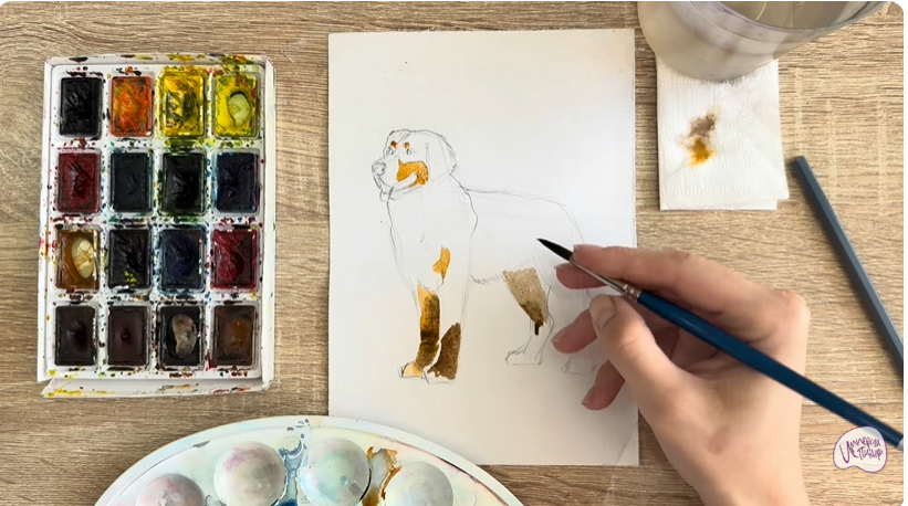 Рисуем Собака породы Бернский зенненхунд