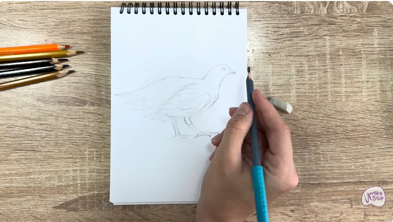 Рисуем Канадская дикуша