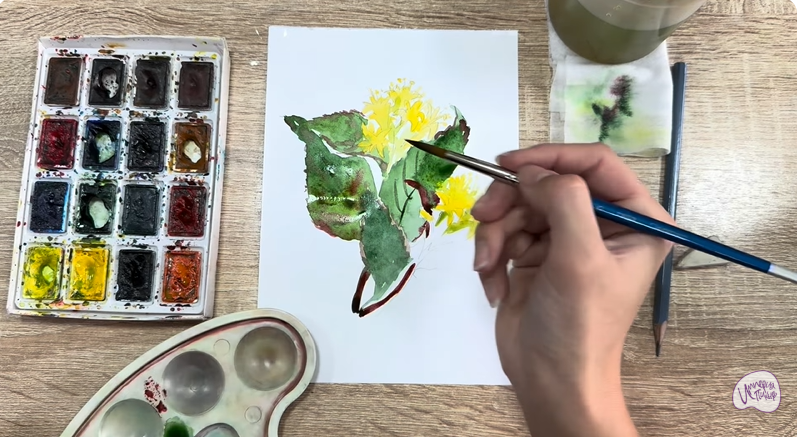 Рисуем Диервилла