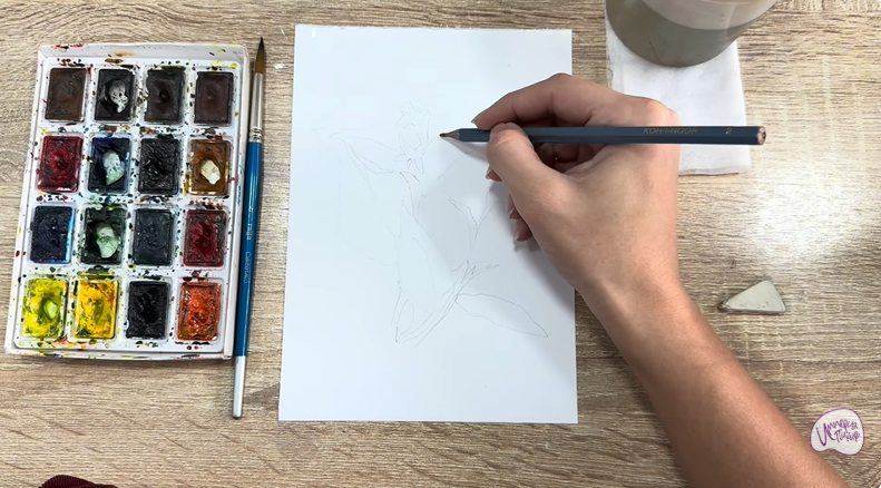 Рисуем Диервилла