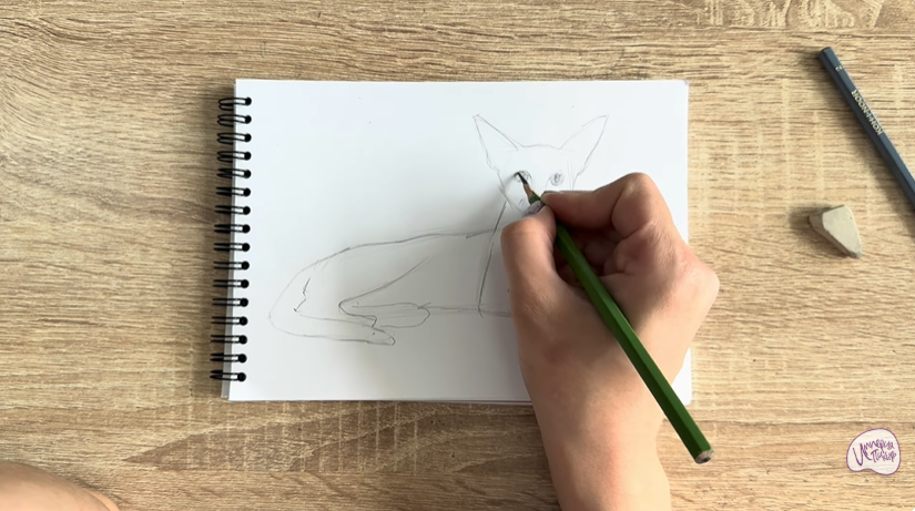 Рисуем Ориентальная кошка