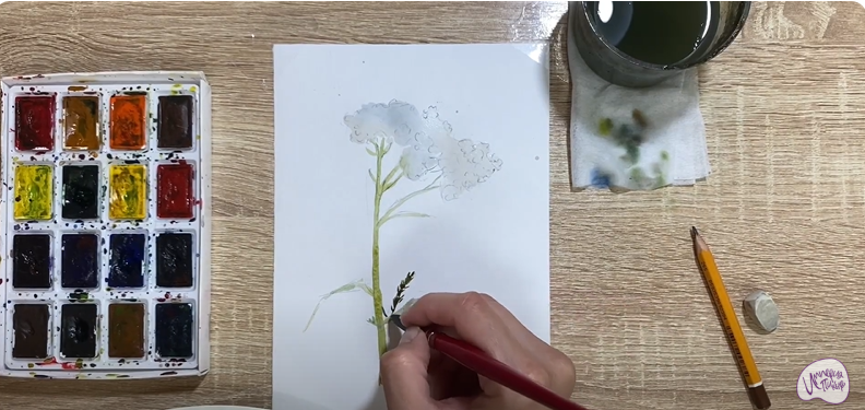 Рисуем Тысячелистник