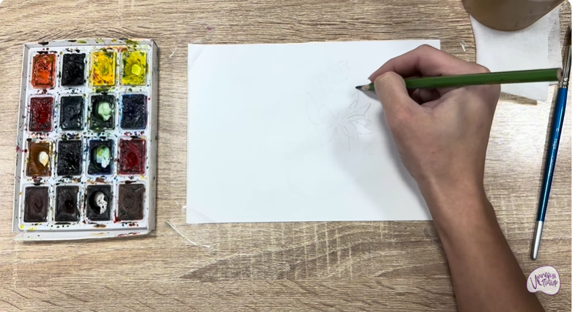 Рисуем Очиток