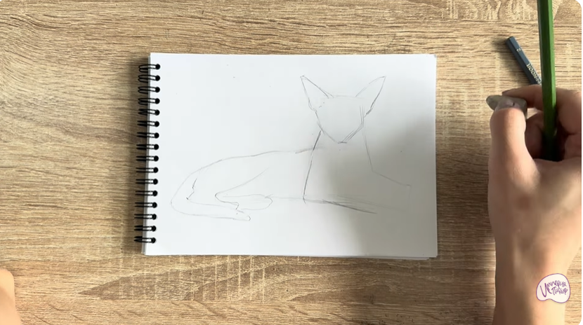 Рисуем Ориентальная кошка