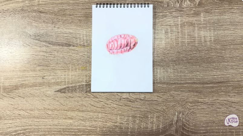Рисуем Кошениль