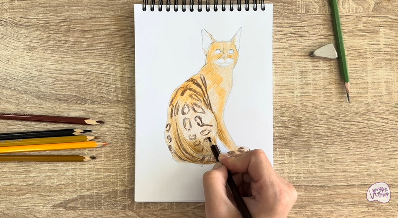 Рисуем Кошка Тойгер