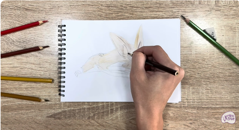 Рисуем Бурый ушан