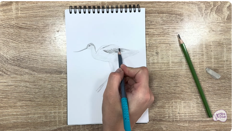 Рисуем Шилоклювка