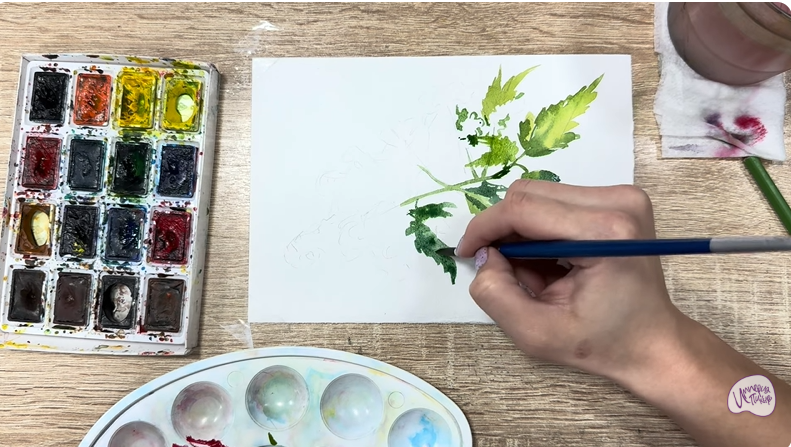 Рисуем Таволга