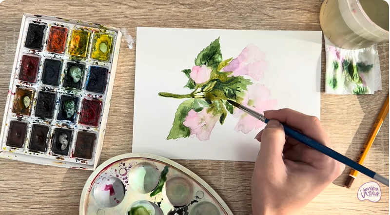 Рисуем Алтей лекарственный