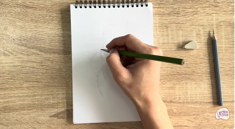 Рисуем Кот породы Шартрез