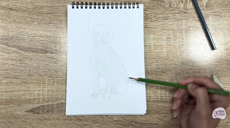 Рисуем Девон Рекс